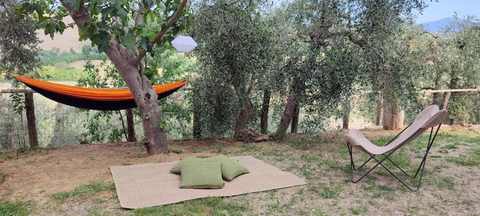 Agriturismo Biofattoria L'Upupa Montalcino Bagian luar foto