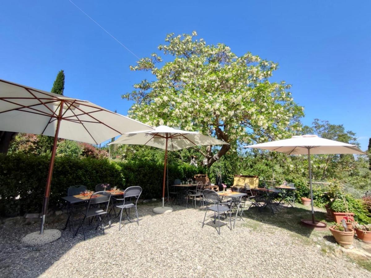 Agriturismo Biofattoria L'Upupa Montalcino Bagian luar foto