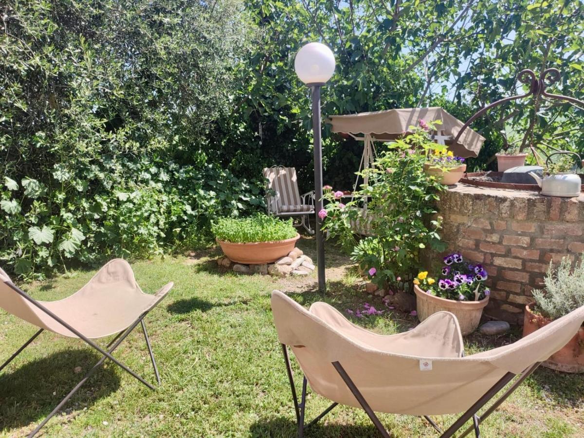 Agriturismo Biofattoria L'Upupa Montalcino Bagian luar foto