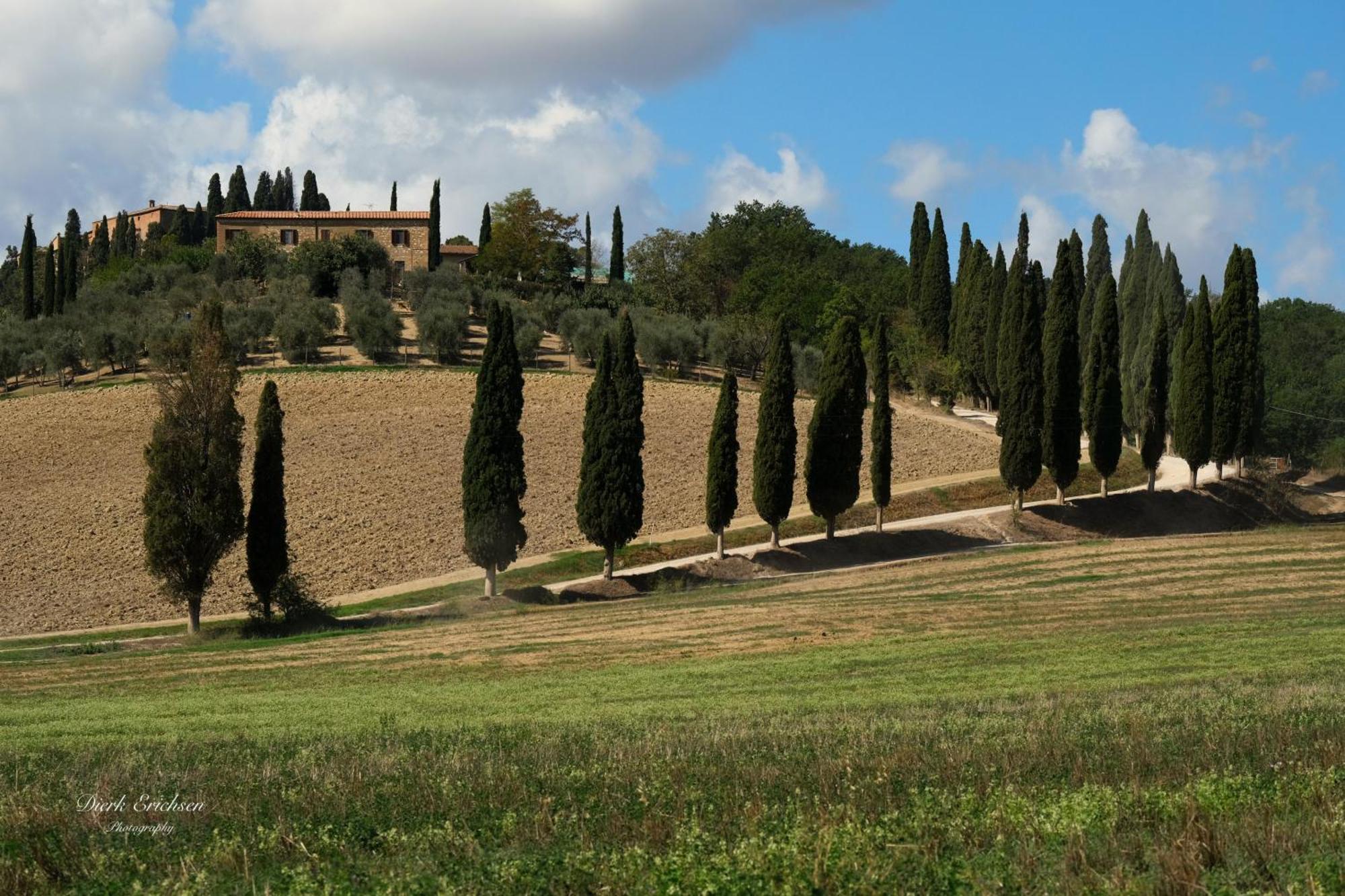 Agriturismo Biofattoria L'Upupa Montalcino Bagian luar foto