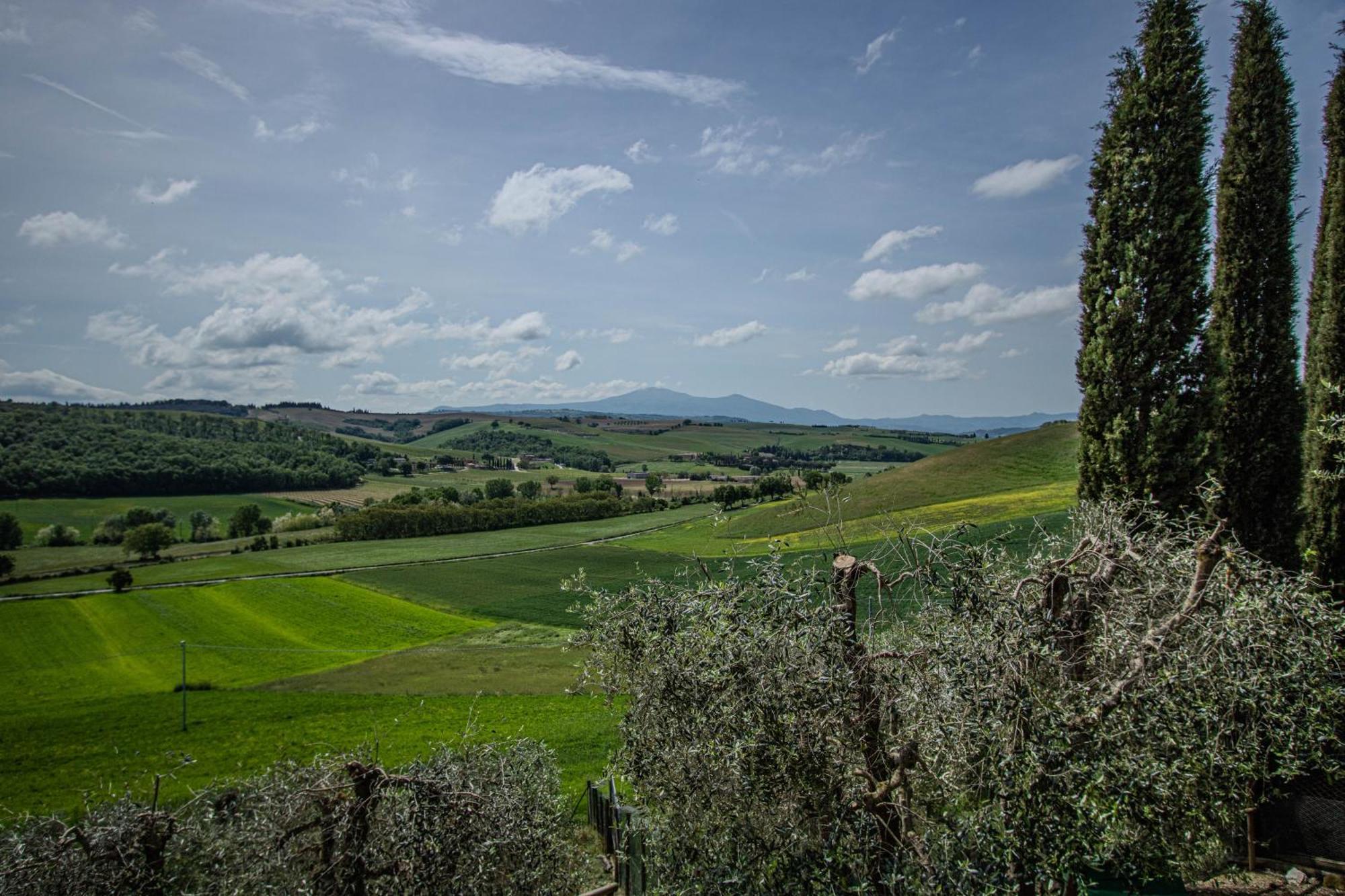 Agriturismo Biofattoria L'Upupa Montalcino Bagian luar foto