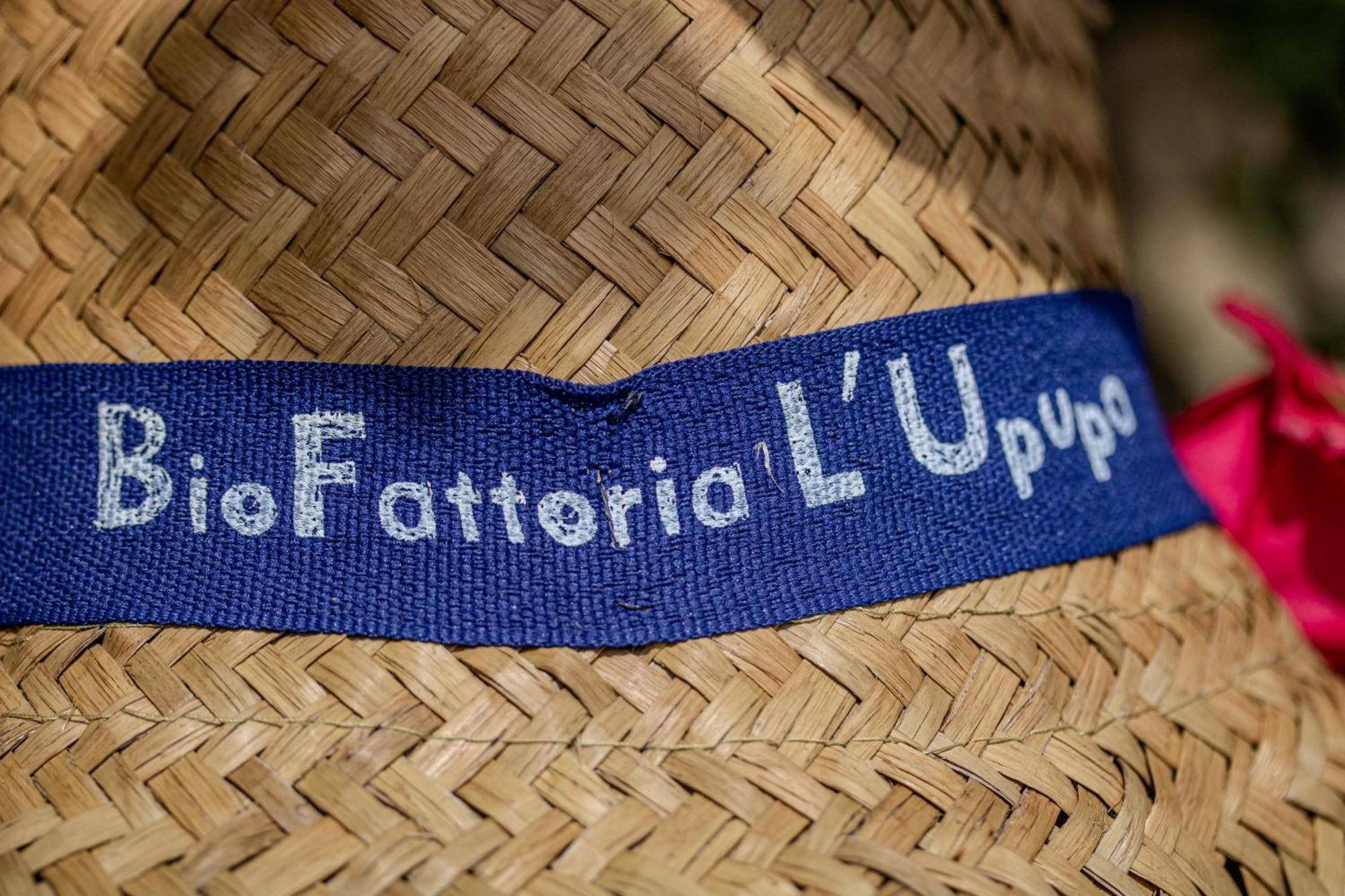 Agriturismo Biofattoria L'Upupa Montalcino Bagian luar foto