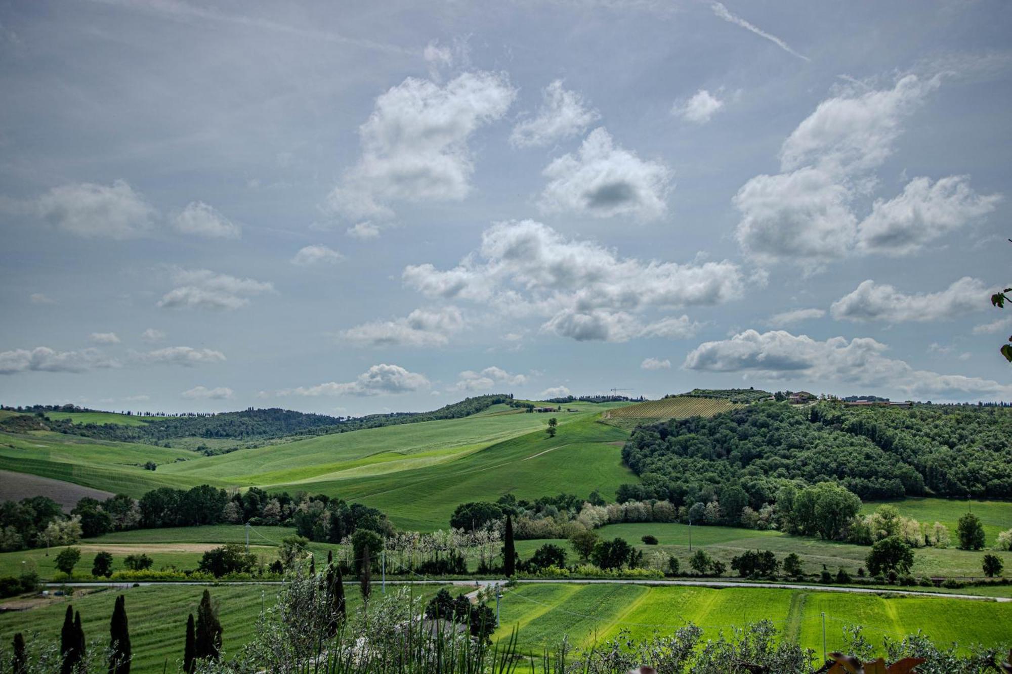 Agriturismo Biofattoria L'Upupa Montalcino Bagian luar foto