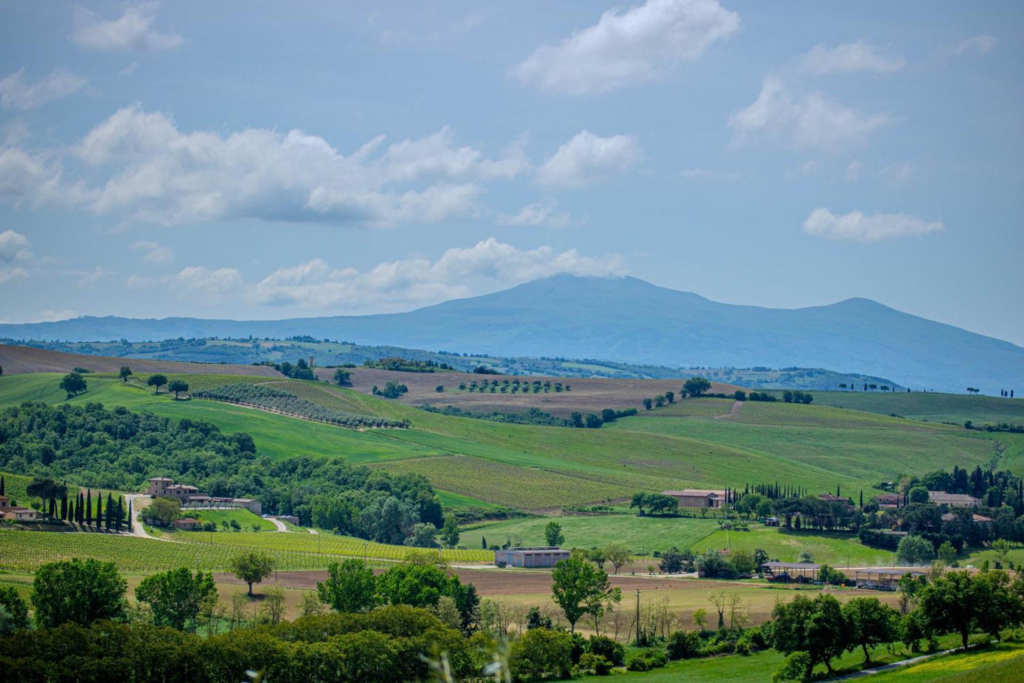 Agriturismo Biofattoria L'Upupa Montalcino Bagian luar foto