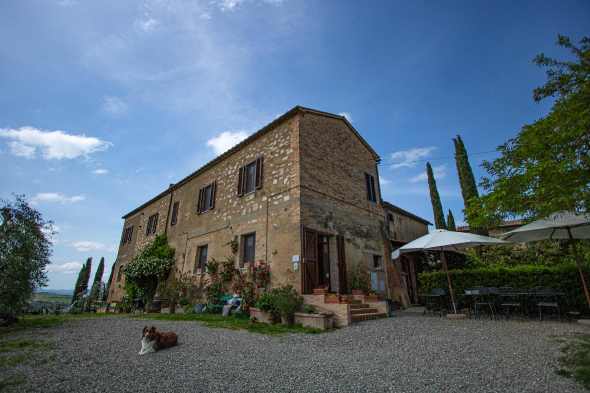 Agriturismo Biofattoria L'Upupa Montalcino Bagian luar foto
